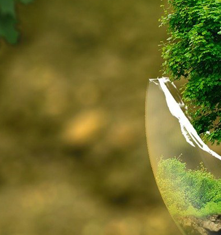 Protezione dell'ambiente