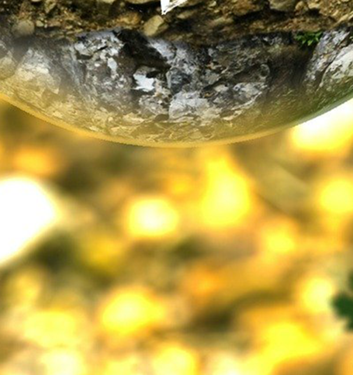 Rispetto dell’ambiente