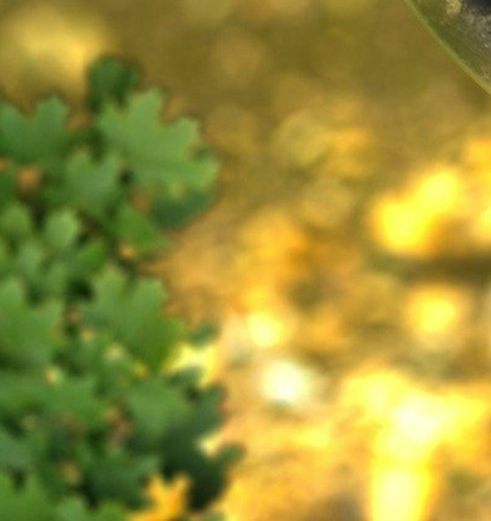 Prevenzione del rischio ambientale